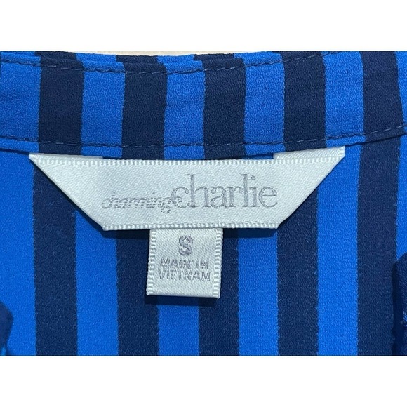 Charming Charlie Womens Size Small Striped Blouse Ruched Sleeves V Neck Pullover - Picture 4 of 8